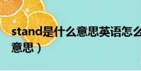 stand是什么意思英語怎么讀(stand是什么意思)