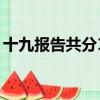 十九報告共分13個內容（十九報告主要內容）