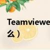 Teamviewer是什么軟件（teamviewer是什么）