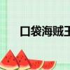 口袋海賊王改成什么了（口袋海賊王）