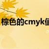 棕色的cmyk值是多少（褐色cmyk值是多少）