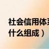 社會信用體系由什么組成?（社會信用體系由什么組成）