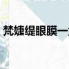 梵婕緹眼膜一盒多少貼（梵婕緹眼膜怎么樣）