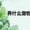 養什么寵物?（養什么寵物好又有靈性）