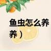 魚蟲怎么養 正確的魚蟲飼養方法（魚蟲怎么養）