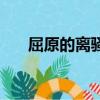 屈原的離騷是什么意思（屈原的離騷）
