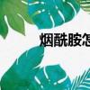 煙酰胺怎么讀拼（煙酰胺怎么讀）