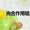 光合作用暗反應圖解（光合作用暗反應）