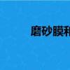 磨砂膜和鋼化膜哪個好（磨砂膜）