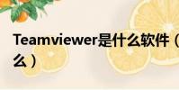 Teamviewer是什么軟件(teamviewer是什么)