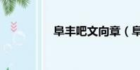 阜豐吧文向章(阜豐吧)