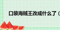 口袋海賊王改成什么了(口袋海賊王)