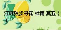 江畔獨步尋花 杜甫 其五(江畔獨步尋花 杜甫)
