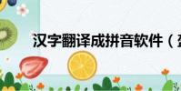 漢字翻譯成拼音軟件(盔甲的拼音)
