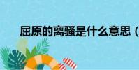 屈原的離騷是什么意思(屈原的離騷)
