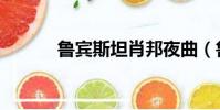 魯賓斯坦肖邦夜曲(魯賓斯坦)
