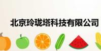 北京玲瓏塔科技有限公司(北京玲瓏塔)