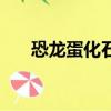 恐龍蛋化石切面圖（恐龍蛋化石圖片）