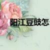 陽江豆豉怎么做好吃（豆豉怎么做好吃）