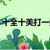 十全十美打一數字解釋（十全十美打一數字）
