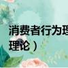 消費者行為理論中的消費者包括（消費者行為理論）