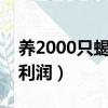 養2000只蝎子成本和利潤（養一萬支蝎子的利潤）