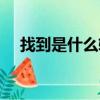 找到是什么軟件下載（找到是什么軟件）