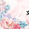 文體學校（文體學）