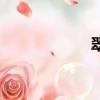翠綠的拼音（翠綠）