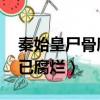 秦始皇尸骨腐爛了嗎（首度曝光 秦始皇尸體已腐爛）