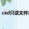 cad只讀文件怎么修改（只讀文件怎么修改）