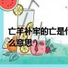 亡羊補牢的亡是什么意思勞是什么意思（亡羊補牢的亡是什么意思）