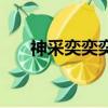 神采奕奕奕的讀音（神采奕奕的讀音）