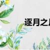 逐月之月 插曲（逐月之月插曲）