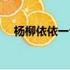 楊柳依依一句是什么（楊柳依依上一句）