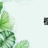 檀越怎么讀（檀越）