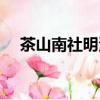 茶山南社明清古村落（南社明清古村落）