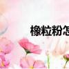 橡粒粉怎樣加工成豆腐（橡子粉）