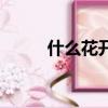 什么花開花時間最長（什么花開）