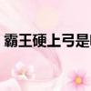 霸王硬上弓是啥意思（霸王硬上弓哈子意思）