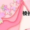 棱長的拼音（棱的拼音）