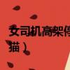 女司機高架停車救貓視頻（女司機高架停車救貓）