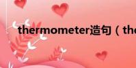 thermometer造句(thermometer)