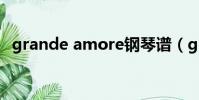 grande amore鋼琴譜(grande amore)