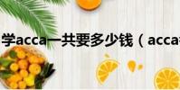 學acca一共要多少錢(acca考下來要多少錢)