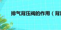 排氣背壓閥的作用(背壓閥的作用)