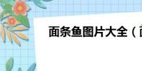 面條魚圖片大全(面條魚)