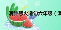 滿腔怒火造句六年級(滿腔怒火造句)