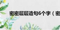 密密層層造句6個字(密密層層造句)