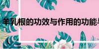 羊乳根的功效與作用的功能與主治(羊乳根)